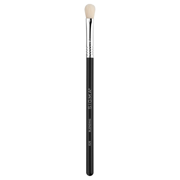 Sigma E25 Blending Brush
