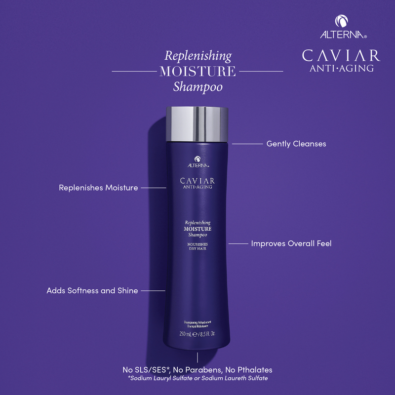 Alterna Caviar Moisture Splash Haircare Kit