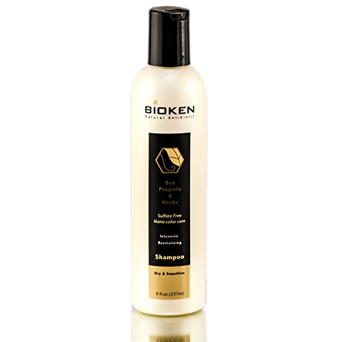Bioken Shampoo for Dry Hair