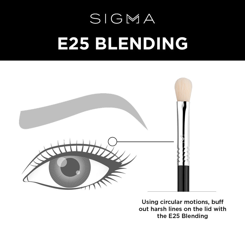 Sigma E25 Blending Brush