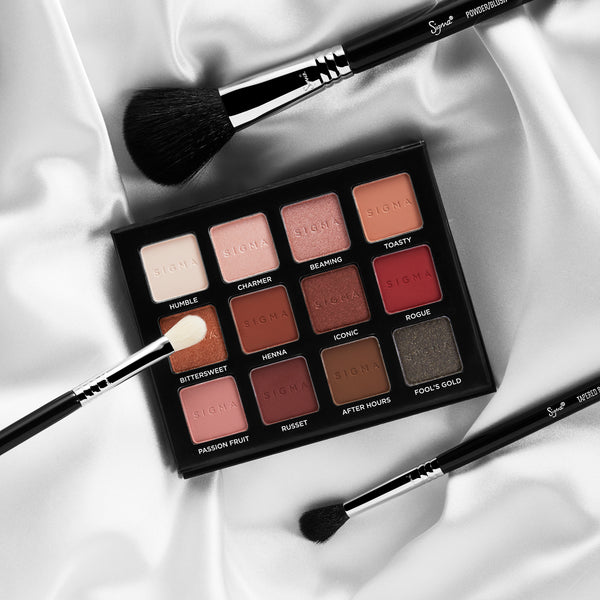Sigma E25 Blending Brush