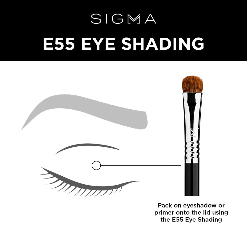 Sigma E55 Eye Shading Brush