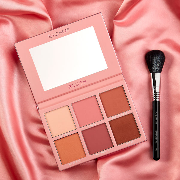 Sigma F10 Powder Blush Brush
