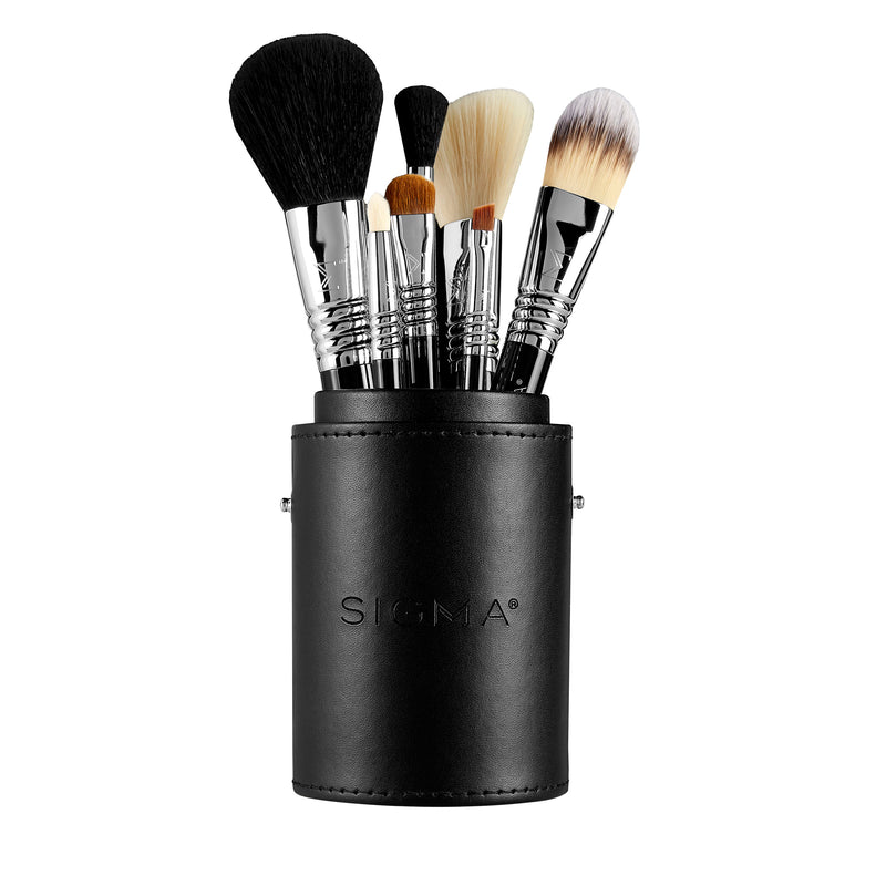 Sigma Travel Brush Set