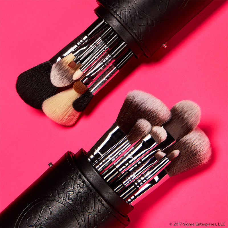 Sigma Travel Brush Set