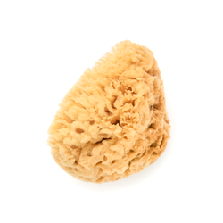 Spa Sister Mediterranean Wool Sponge