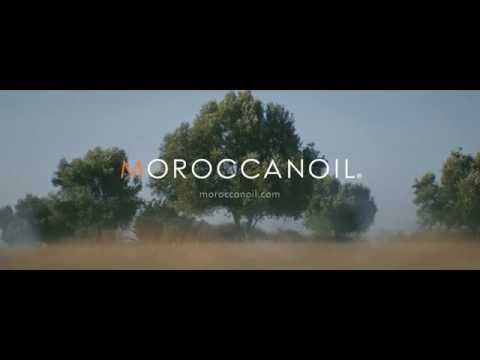 Moroccanoil Pure Argan Oil